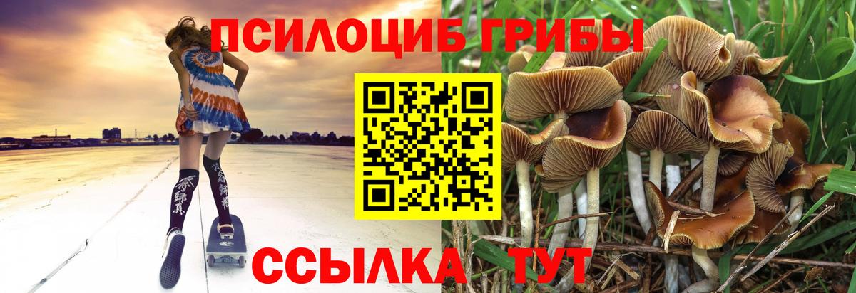 где продают наркотики  Вход с VPN  Нерюнгри  Псилоцибиновые грибы прущие грибы 